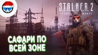 Охота на самых сильных мутантов | S.T.A.L.K.E.R. 2: Heart of Chornobyl | #34 