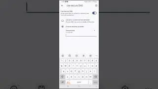 How To Use Customized DNS For Chrome In Android Phone?