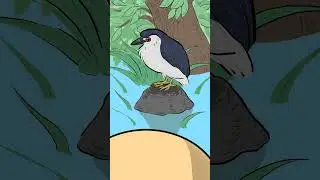 Escaped Penguin 🐧 