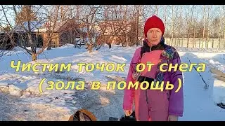 Чистим точок от снега (зола в помощь)(17.03.2024)