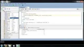 SQL Developer export : sqlvids