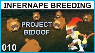 Breeding a Hidden Ability Infernape - Project Bidoof Part 10 - Pokemon Breeding Guide