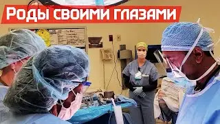 Плановые роды в США. Больница в городе Святого Августина, Флорида. Условия и Стоимость