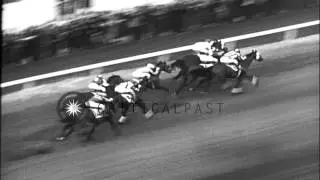 Stagehand defeats Seabiscuit and wins the Santa Anita Handicap horse race in Arca...HD Stock Footage