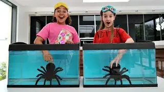 WHAT'S IN THE BOX CHALLENGE - UNDERWATER | Toys AndMe