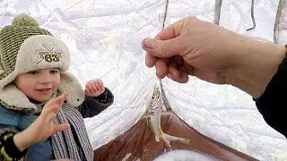 Рыбалка на Косынки-Раскладушки! Ловим с Сашкой Ельца! Отличный Улов!