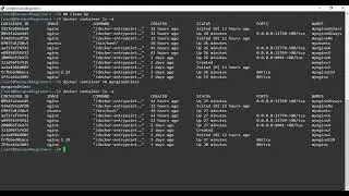 12. Docker Basic Commands Part 7 Clean Up
