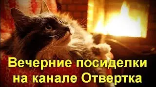 Вечерние посиделки на канале Отвертка -  Поговорим о современных гаджетах   7 августа 2018