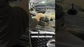 О чём говорит цвет масла ГУР?