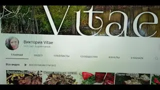 Верные друзья моего канала. Просмотры канала.