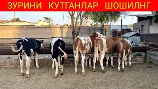 5,  бош БУНАҚАСИ кам дан КАМ учирайди😳📞336060022