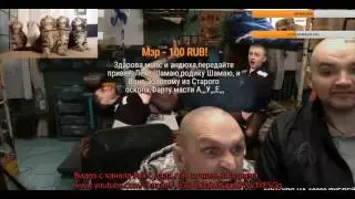 Мопс лает на котов