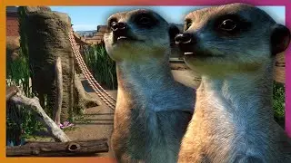 Meerkat Habitat | Planet Zoo