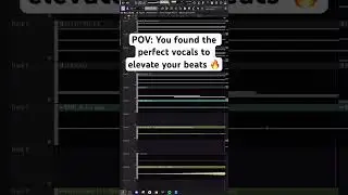 The vocals honestly took this loop to a new level!