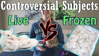 Con-Sub: Feeding Live vs Frozen Prey