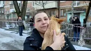 МЧС