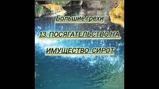 Большие грехи Имущество сирот