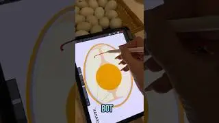 Почему цыплята не выводятся? Или как вес обманывают фермеры с инкубационными яйцами