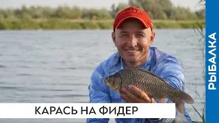 Карась на фидер. Ловля карася на реке в сентябре
