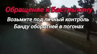 Напали оборотни и начали пытать прямо в патрульном автомобиле. Санкт-Петербург 17.07.2024