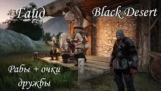 Black Desert. Рабы (рабочие) + Очки дружбы. Гайд.