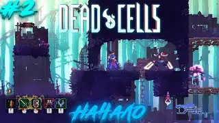 Dead Cells #2 - (НАЧАЛО)