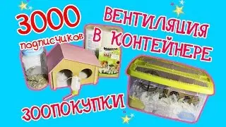 ЗООПОКУПКИ | ПЕРЕСТАНОВКА И ВЕНТИЛЯЦИЯ В КОНТЕЙНЕРЕ ХОМЯЧКА ВИНТИКА | 3000 ПОДПИСЧИКОВ НА КАНАЛЕ 💗