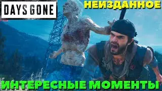 Неизданное! Интересные моменты. Days Gone(Жизнь После).