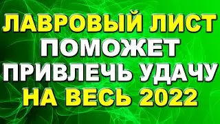 Лавровый лист поможет привлечь удачу на весь 2022 год