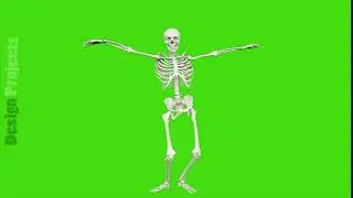 Skeleton dancing. Seamless loop animation on green screen.