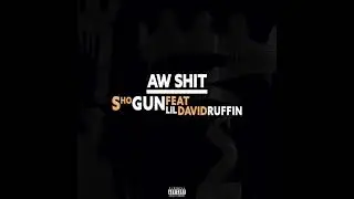 "Aww Shit"! ( Shogun X Lildavid Ruffin)_full Motion Audio_