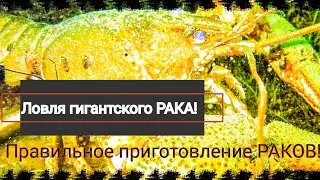 История о том - Как мы раков ловили и потом варили! #fishing #рак #еда #нива #4x4 #рыбалка #mrbeast