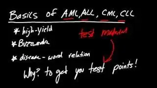 AML, ALL, CML, CLL Buzzwords TO GET YOU POINTS!