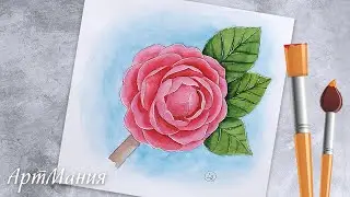 How to paint a camellia flower in watercolor.