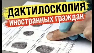 Где получить справку о дактилоскопии иностранному гражданину при въезде в Россию в 2022 году