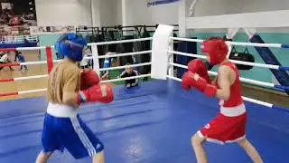 Сытов+Долгов-Спарринги-Кристалл-Бокс-17 июня 2023
