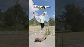 Йока великолепна 