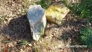 Весна в саду. Эклектика стилей изюминка нашего сада.  #сад #садоводничество #garden #загородный