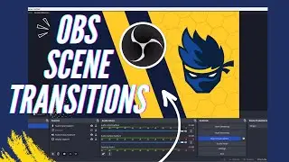 50 FREE OBS Scene Transitions Download - OBS Studio Scene Settings Tutorial