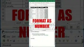 Format Value with Excel VBA #shorts
