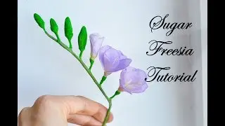 Gumpaste Freesia Tutorial.Фрезия из мастики. Sugar Flowers. Fondant Flowers.