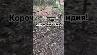 Короче, это Индия, Дали 🇮🇳