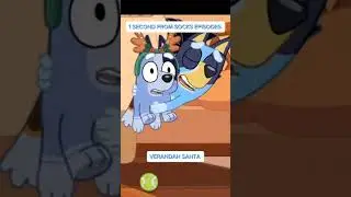 Bluey | Socks All Episodes (In 1 Second)