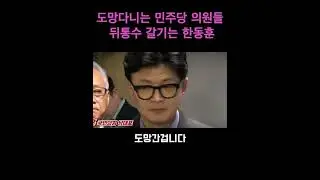 도망다니는 민주당 의원들 뒤통수 갈기는 한동훈