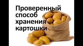 Картошка хранится долго и не портится
