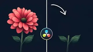 How To REMOVE Objects From PHOTOS In Davinci Resolve
