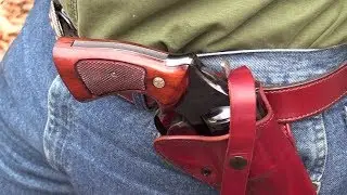 Model 29-2   44 Magnum  4