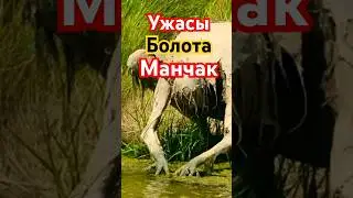 Ужасы Болота Манчак!!! СМОТРИТЕ ПОЛНОЕ ВИДЕО!!! 