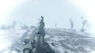 Why always have Modds for guns in Stalker Gamma