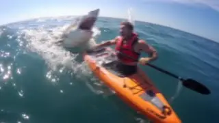 Si Te Dan Miedo Los Tiburones, No Veas Esto